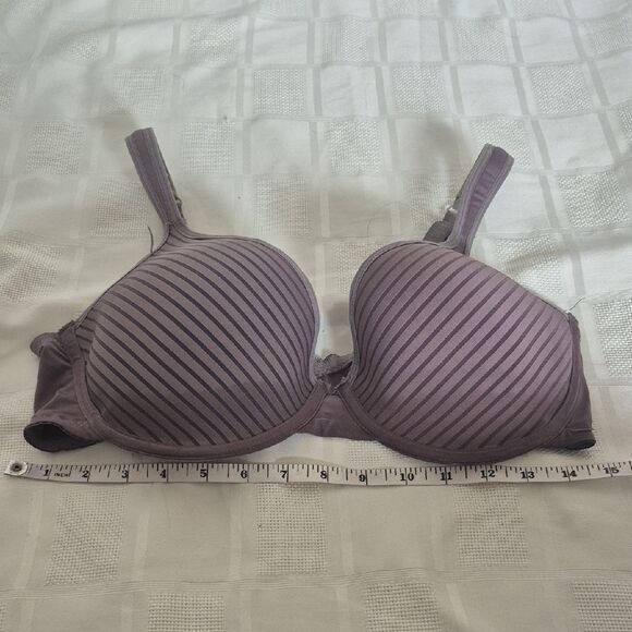 Kathy Ireland Mauve Striped Bra - Picture 5 of 16